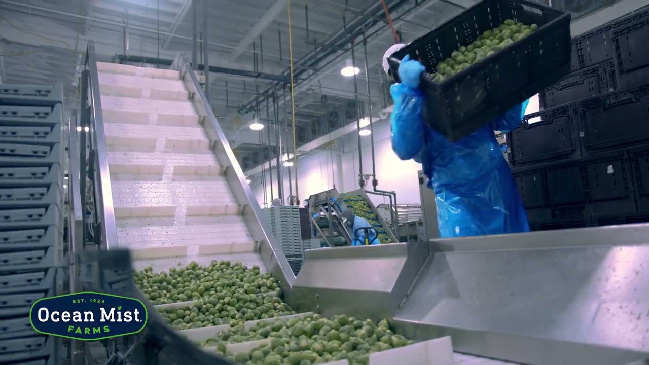 Ocean Mist Farms Company Video