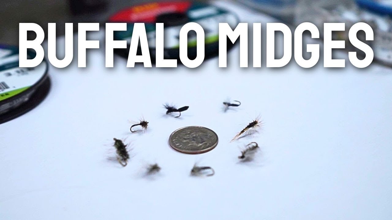 How to fish Buffalo Midges