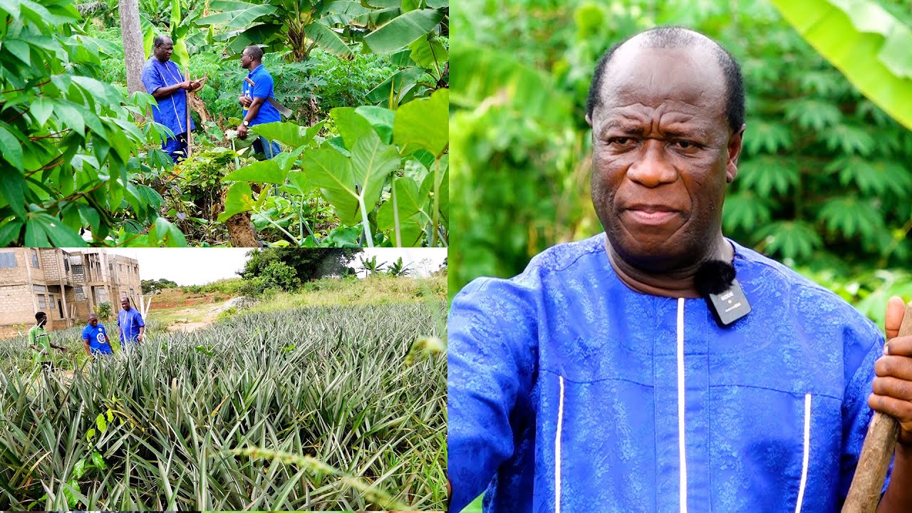 I STARTED THIS 25 ACRES OF FARM AFTER RETIREMENT APS. DR. ALFRED KODUA (RTD)