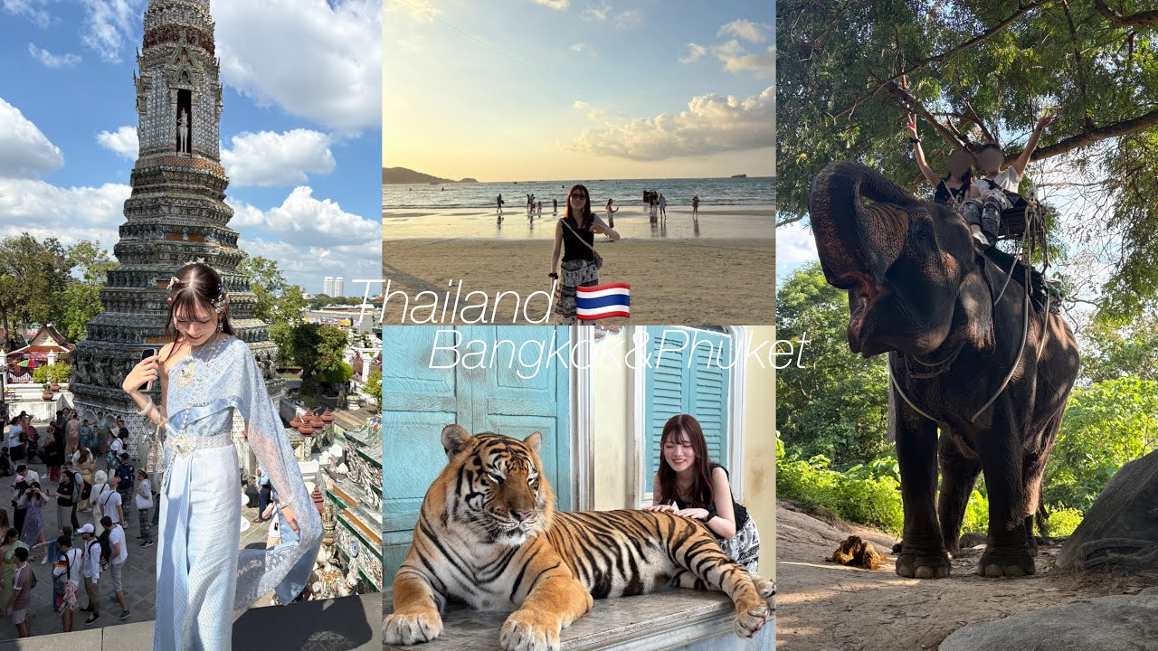 タイ旅行Vlog｜2泊3日で巡るバンコク＆プーケット, 民族衣装に虎🐅象乗り🐘 笑いあり涙ありの大充実旅✈️