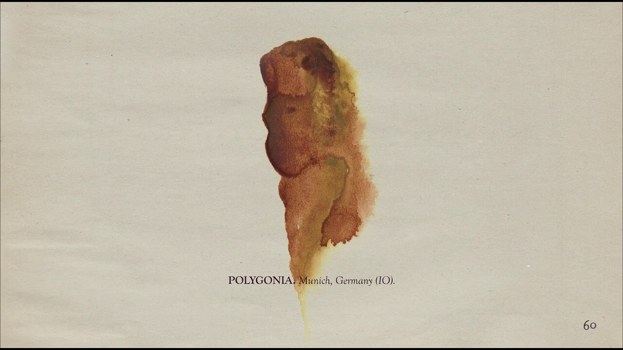 The Memoir - Page 60: Polygonia
