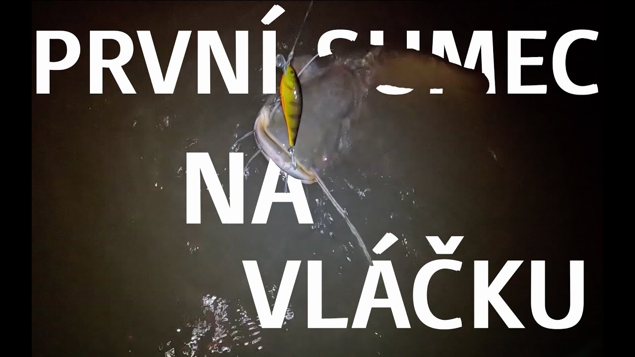 PRVN&Iacute; SUMEC NA VL&Aacute;ČKU - NOČN&Iacute; V&Yacute;PRAVA ZA PRVN&Iacute;M SUMCEM NA VL&Aacute;ČKU🎣