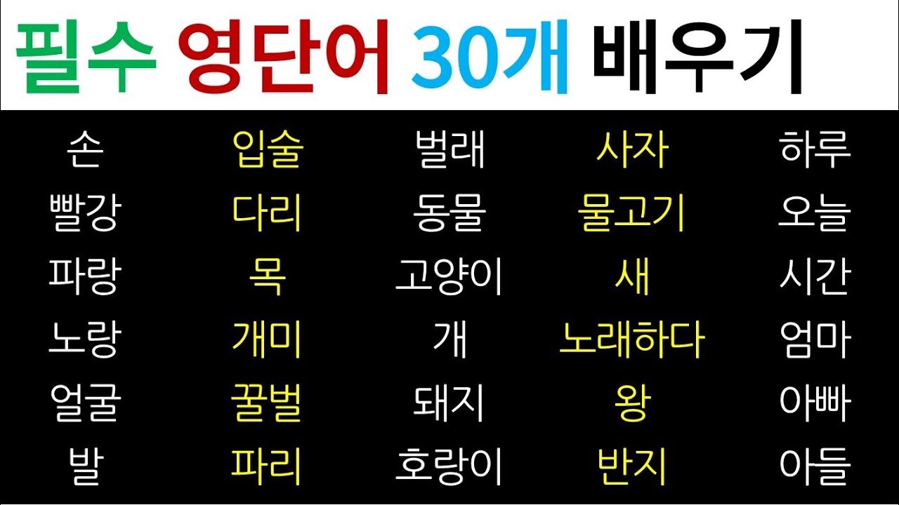 영어 단어! 공부합시다^^