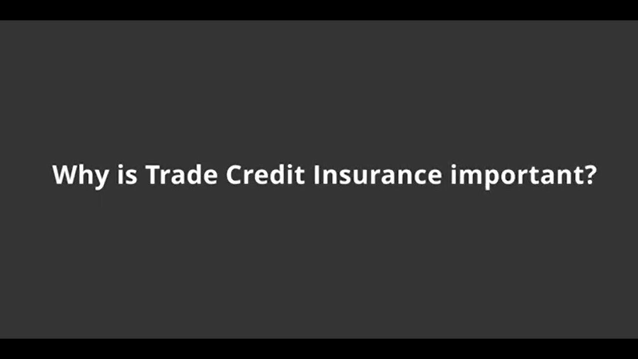 Why is Trade Credit Insurance important