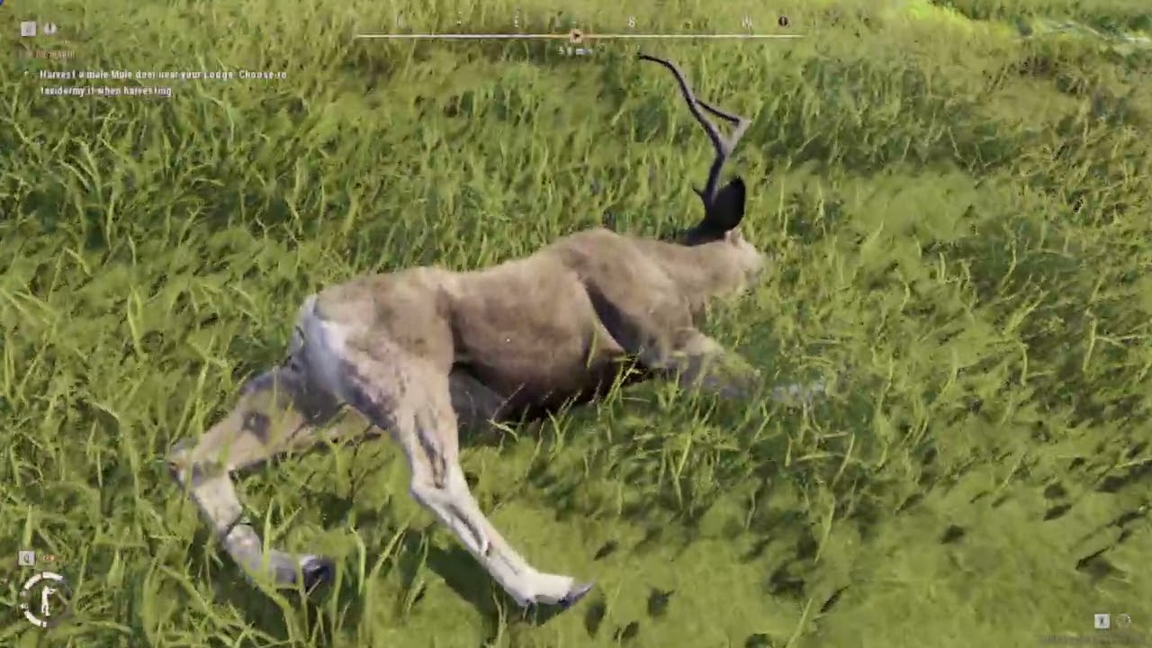 Way of the Hunter 2 Demo Part 10