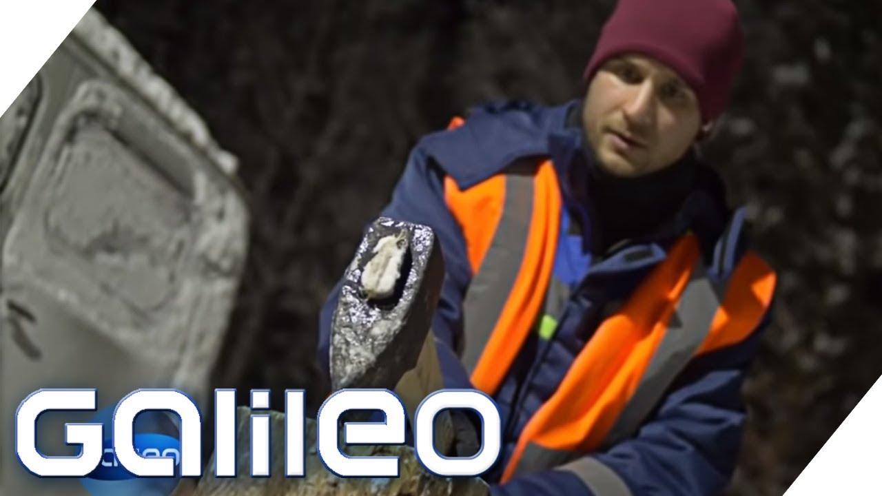 Selbstexperiment: 2 Tage als Holzfäller in Sibirien | Galileo | ProSieben
