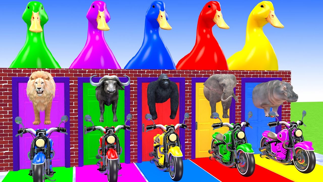Long Slide Game With Elephant Gorilla Buffalo Hippopotamus Tiger 3d Animal Game Funny 3d Animals