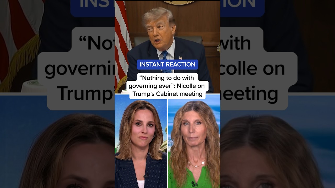 'Nothing to do with governing ever': Nicolle on Trump's cabinet meeting