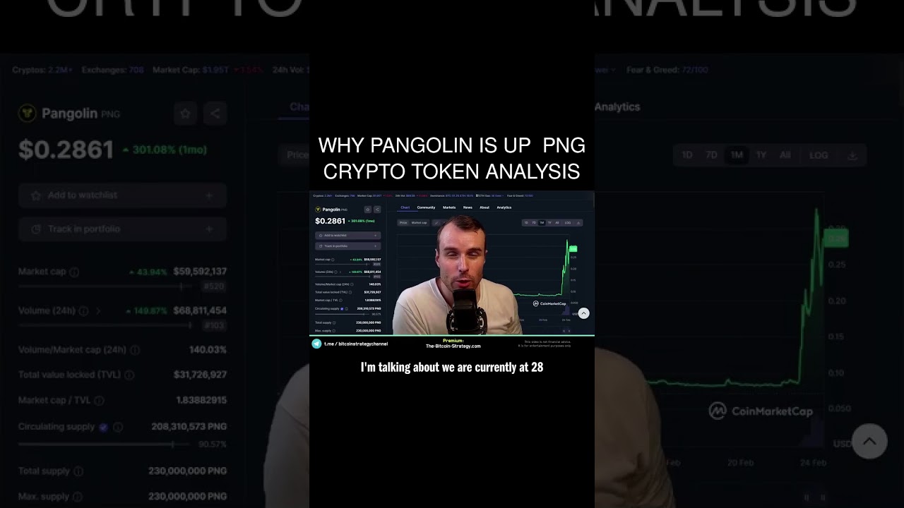 Why Pangolin is up 🤩 Png Crypto Token Analysis
