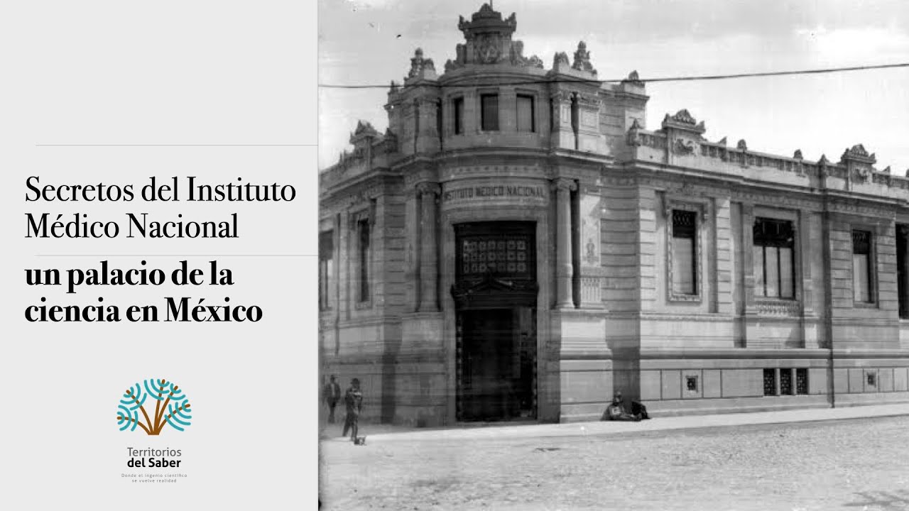 Secretos del Instituto Médico Nacional: un palacio de la ciencia en México