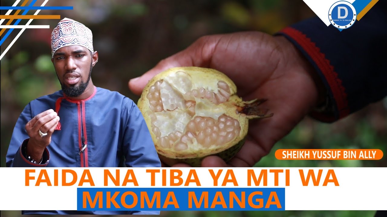 FAIDA NA TIBA YA MTI WA MKOMA MANGA |SHEIKH YUSSUF BIN ALLY
