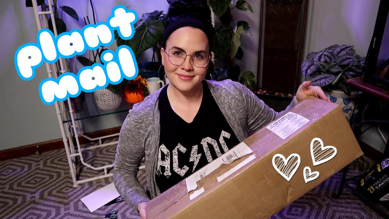 Unbox New Plant Mail with me from Etsy! two different plant mail unboxings - NEW WISHLIST PLANTS!
