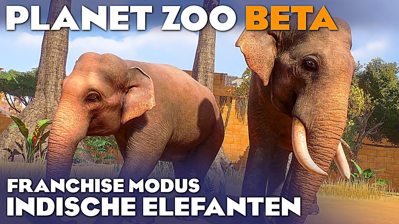 PLANET ZOO BETA INDISCHER ELEFANT 4K Planet Zoo Deutsch German Gameplay #35