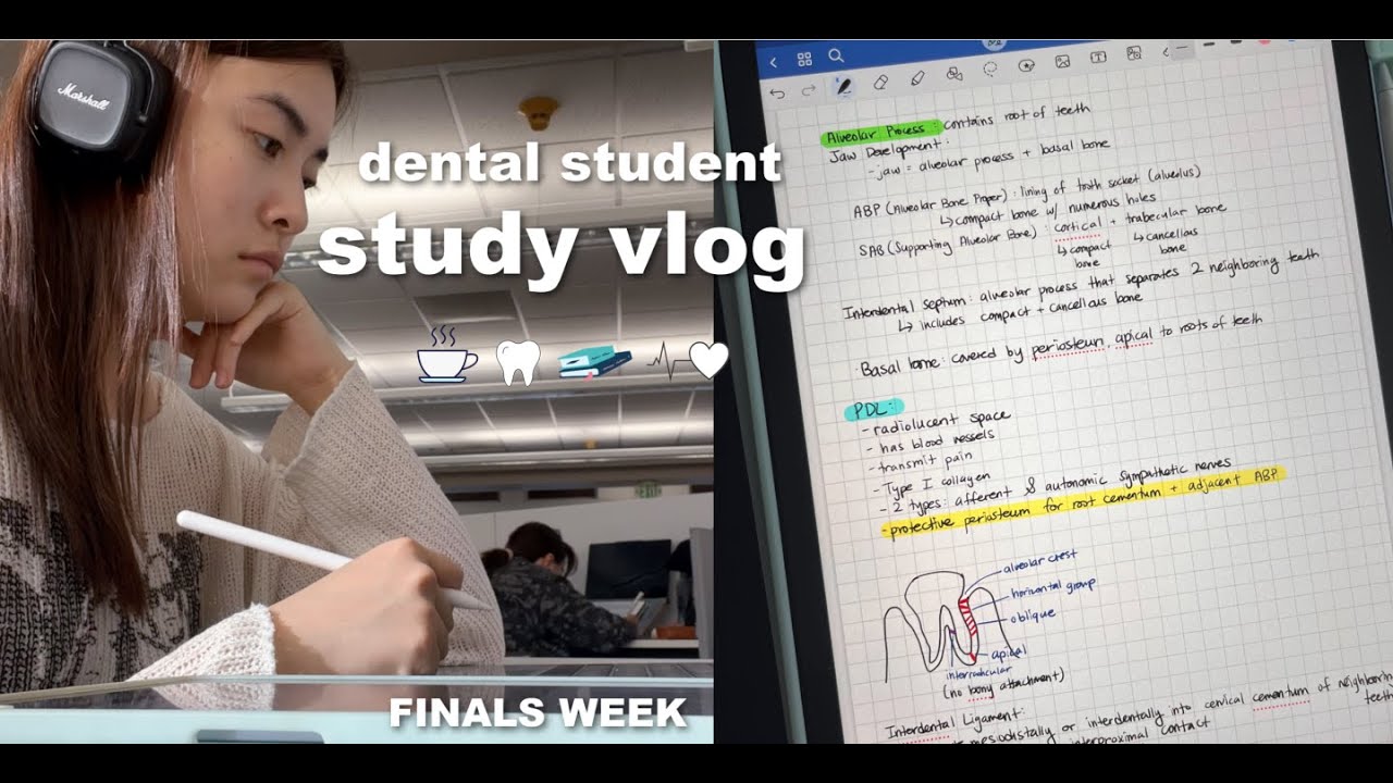 STUDY VLOG ☕️: dental school finals, cafe study, cooking, library, workout, get productive with me