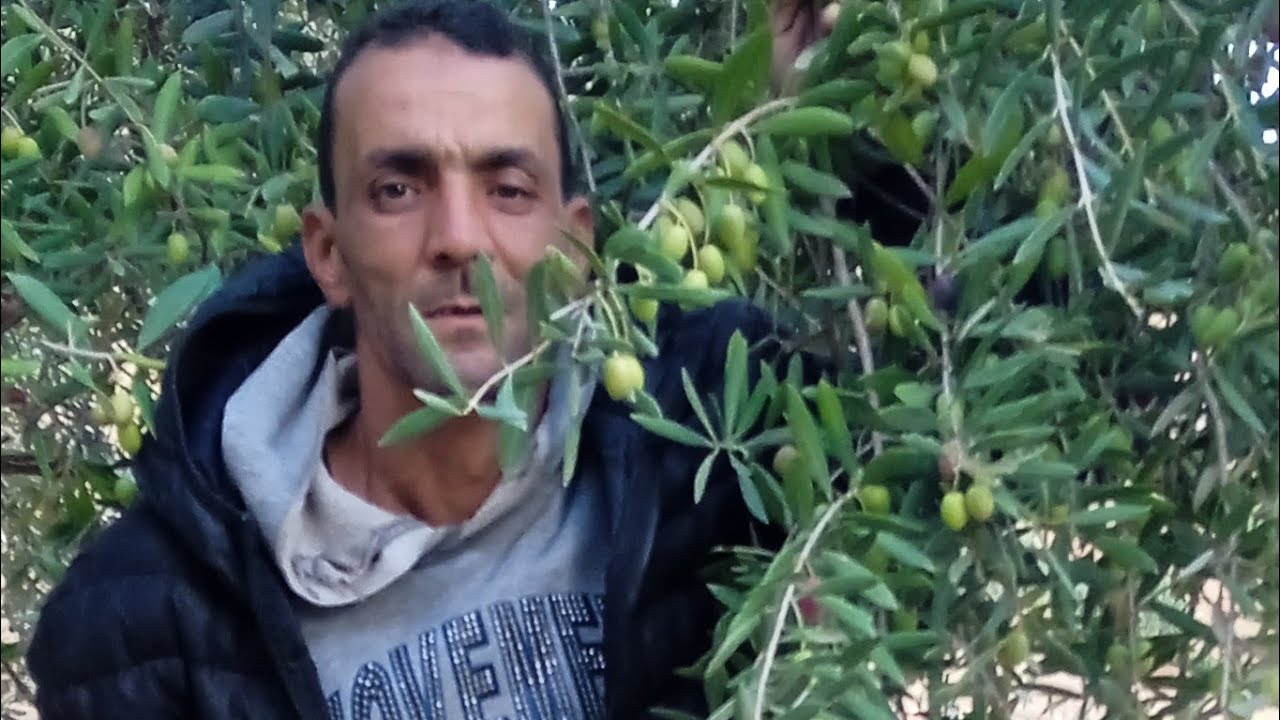 بدأت قناة 