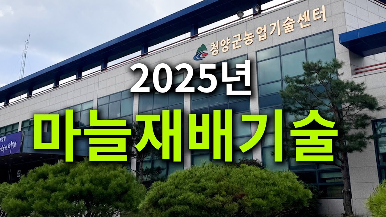 2025년 마늘재배기술