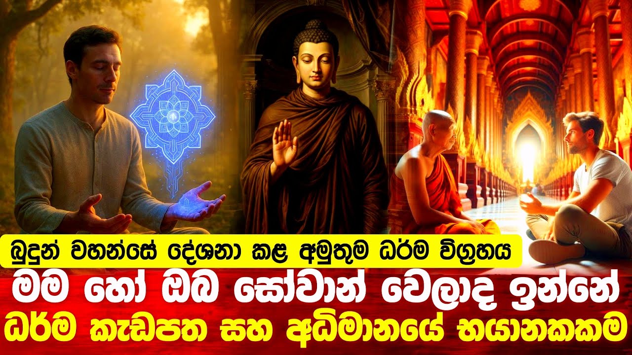 මම හෝ ඔබ සෝවාන් වෙලාද? මෙහි ඇති අධිමානයේ භයානකකම #buddha #srilanka #budu_bana 