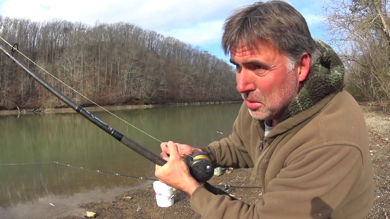 Shad Kill 2019