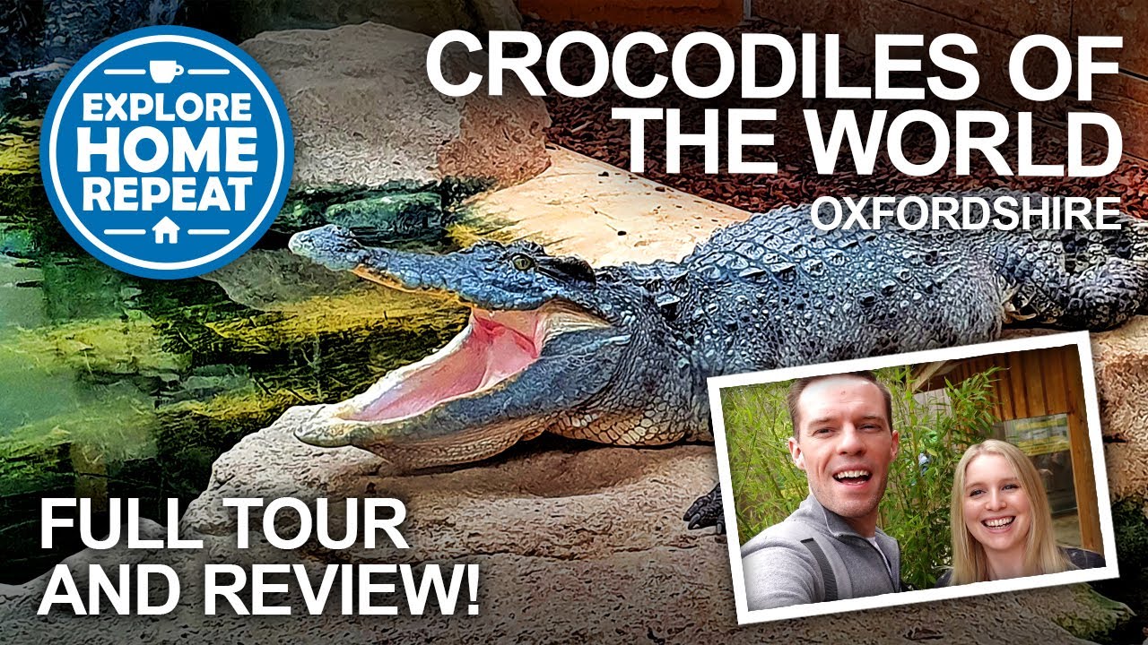 Visiting Crocodiles Of The World - Full Tour & Zoo Review! Days Out in the Cotswolds, Oxfordshire