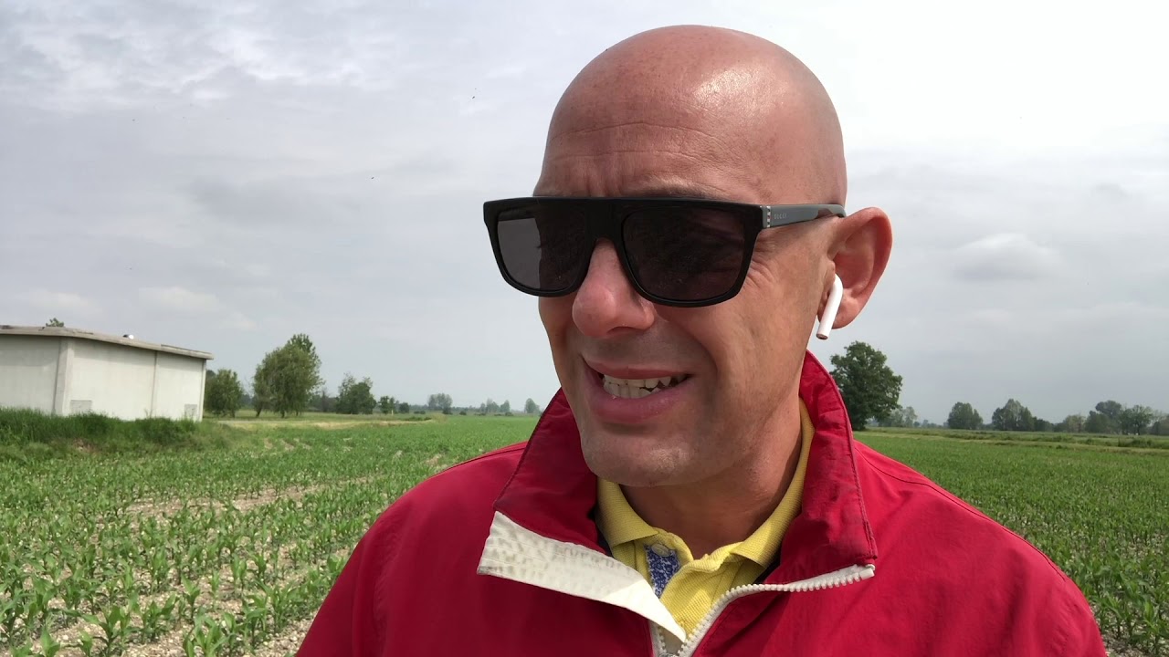 Diserbo Post Emergenza 2020