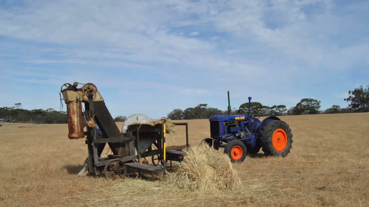 Cutting chaff with Fordson tractors and Sunshine chaff cutters