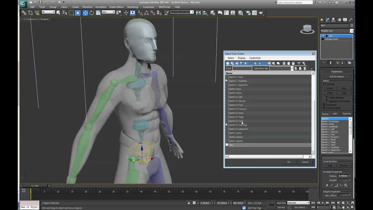 Applying the Skin Modifier