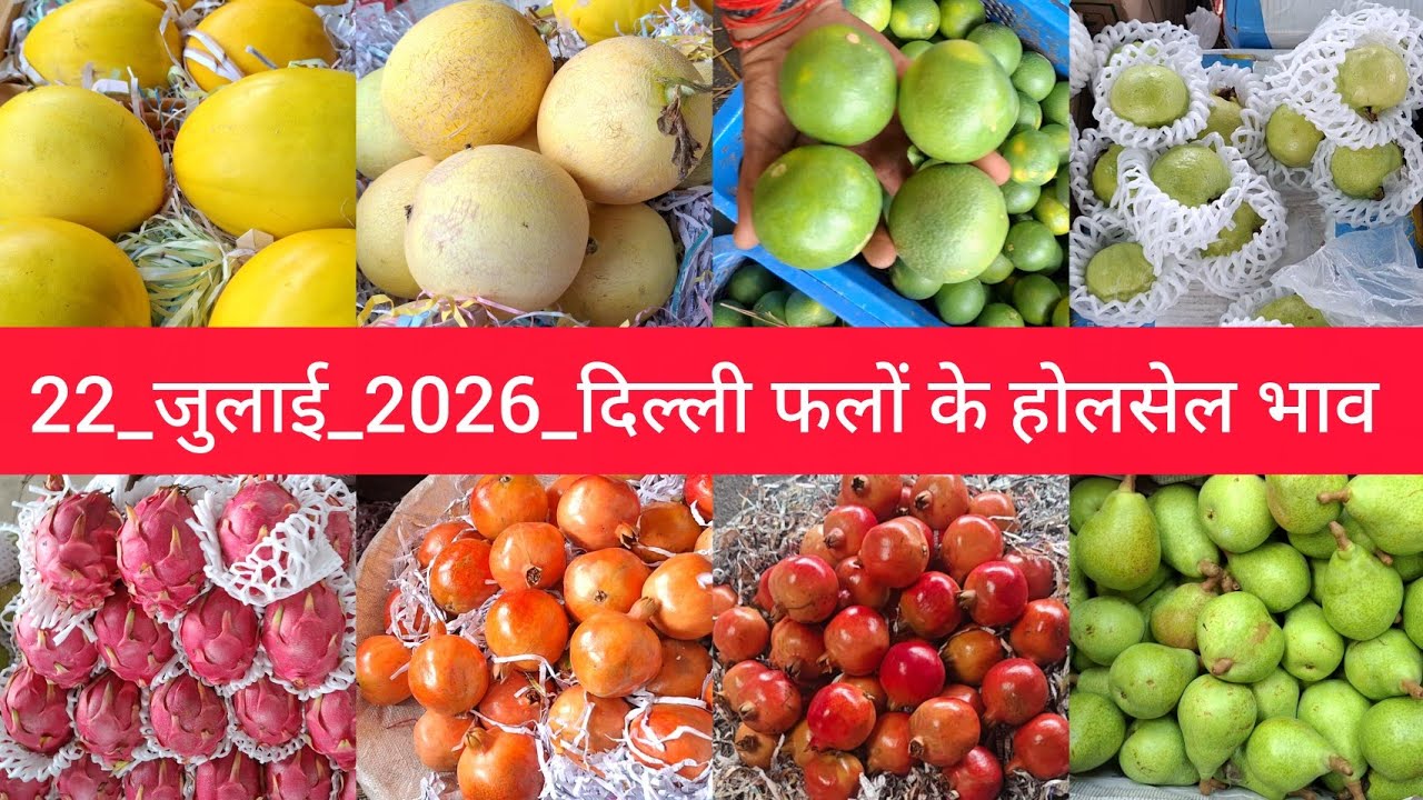 22 July 2026 दिल्ली फलों के भाव&nbsp;Delhi Fruit Market Price Today Azadpur Mandi  Aaj Ka Fruit Rate