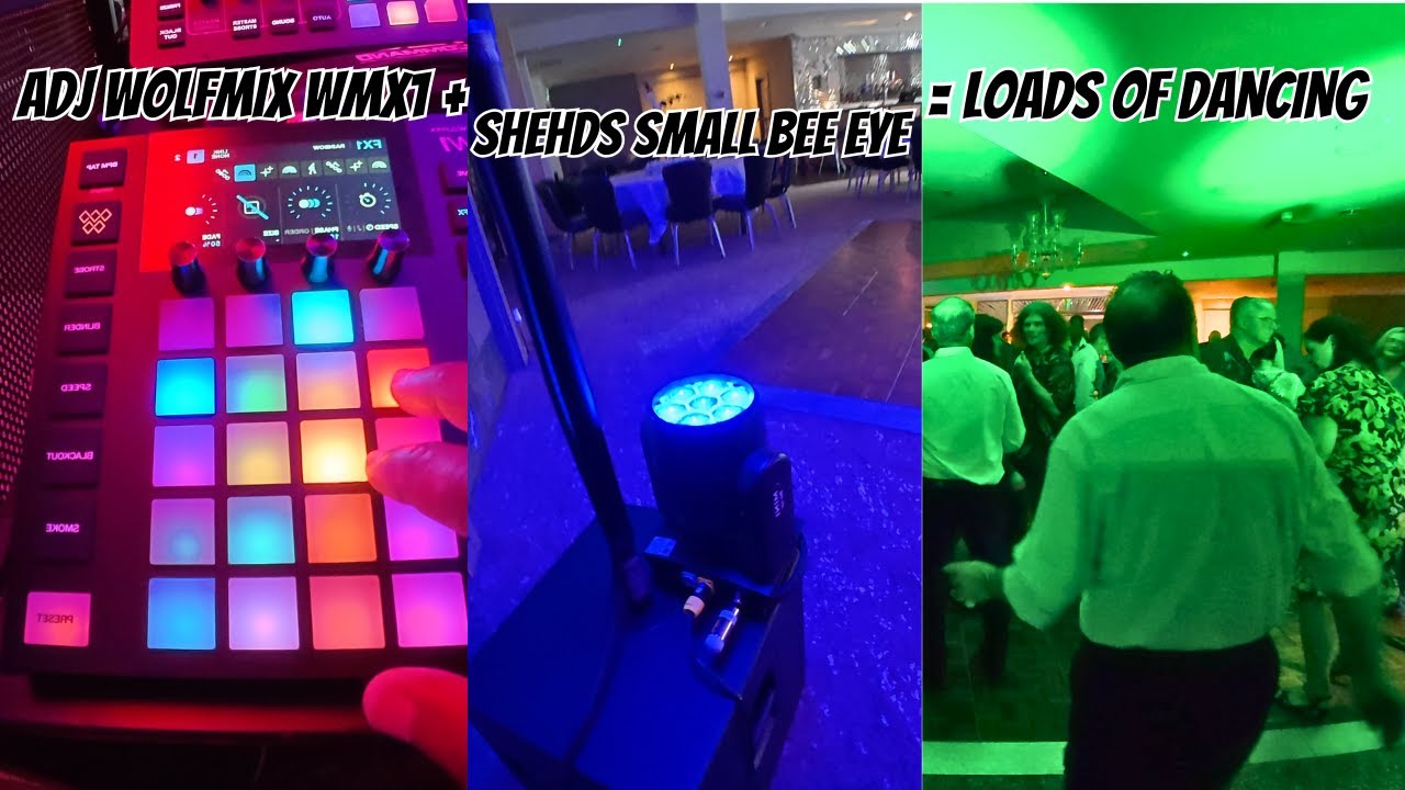 DJ GIGLOG SHEHDS SMALL BEE EYE