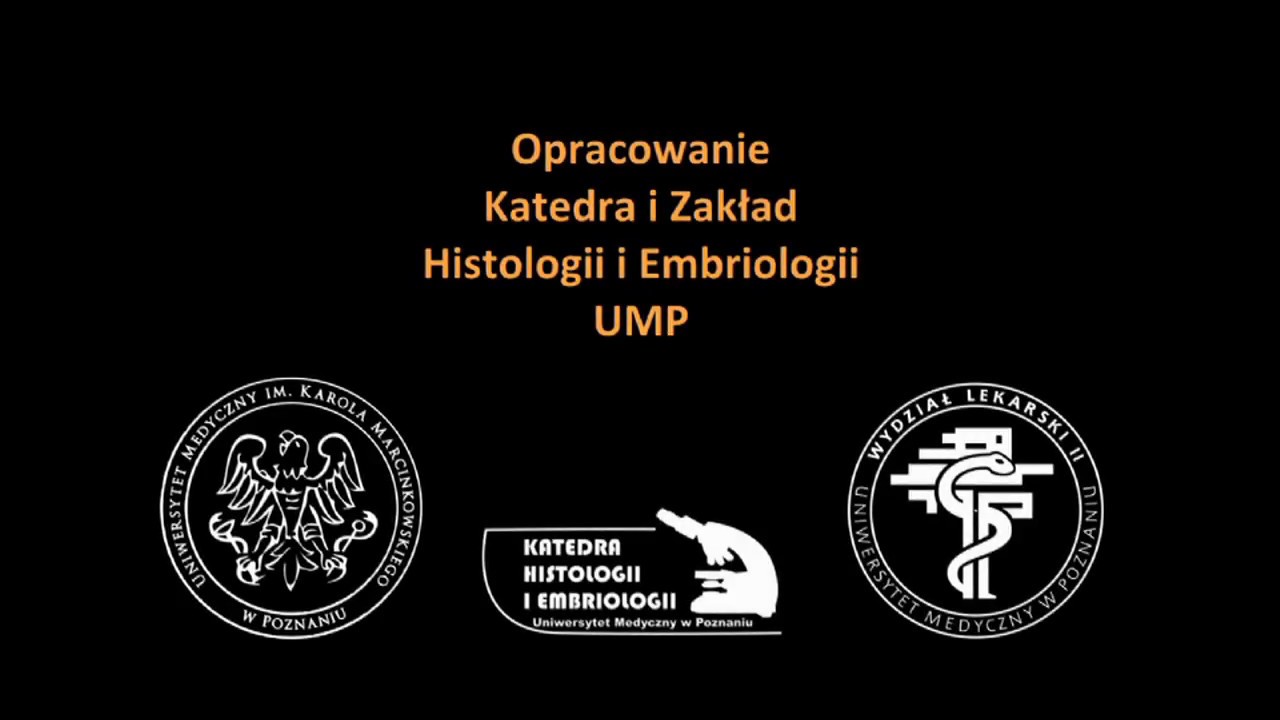 Rozmaz krwi ludzkiej (metoda May-Grunwald-Giemza)