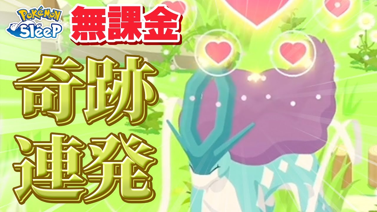【ポケモンスリープ無課金】サブ垢、奇跡を連発させる【三犬イベント1週目】