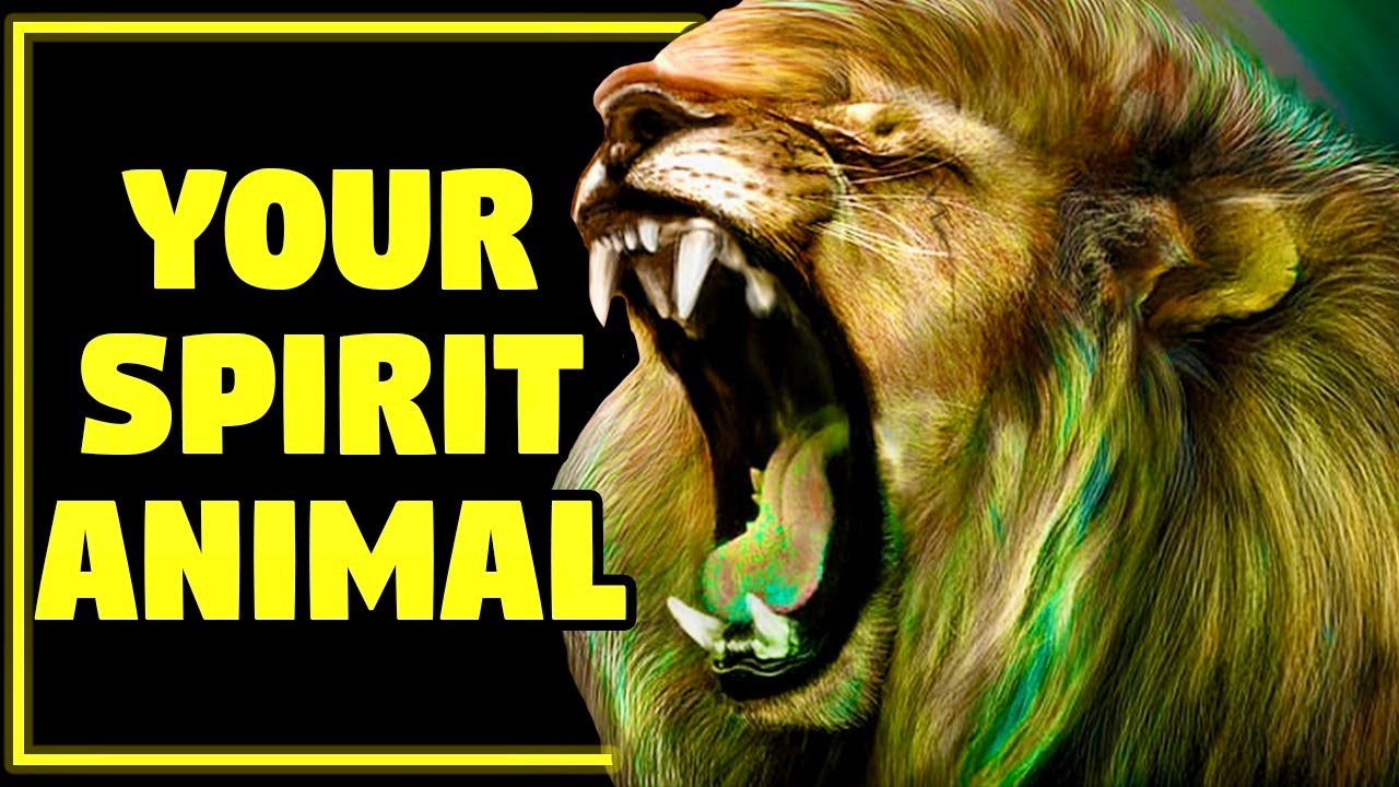 WHAT’S YOUR SPIRIT ANIMAL? Personality Test Quiz | Mister Test