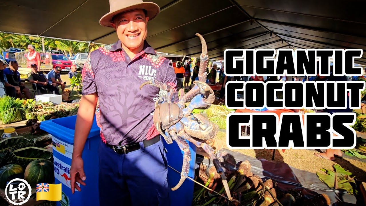Taros, Coconut Crabs, Food, Dancing! Aliutu Showday Highlights 2025!