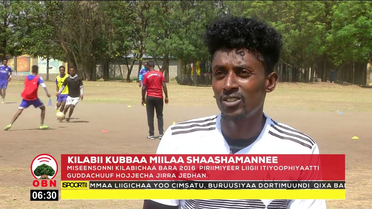 Kilabii Kubbaa Miilaa Shaashamannee