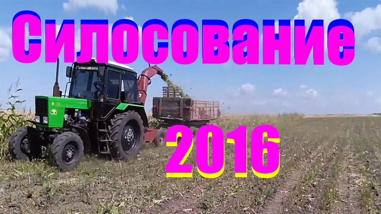 МТЗ 82.1 с косилкой КИР 1.5 и ЮМЗ -6 с прицепом 2птс 4 силосование 2016