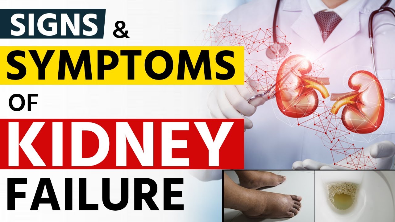 Signs & Symptoms of Kidney Failure | Symptoms of Kidney Disease