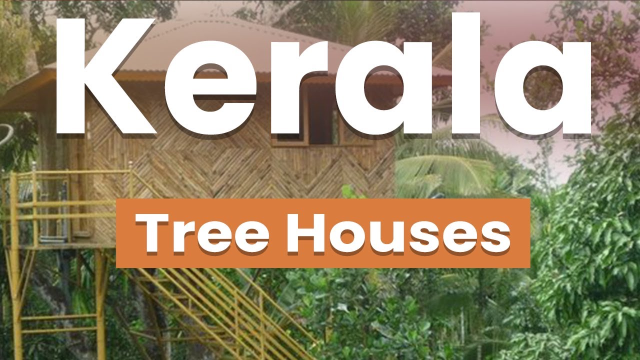 Top 10 Best Tree Houses in Kerala | India - English