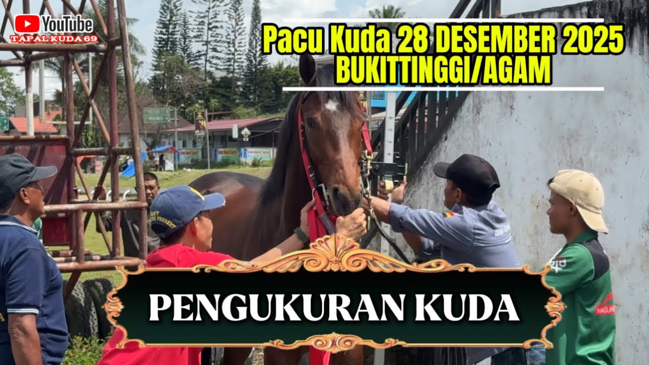 Pengukuran Kuda Pacu Menjelang HUT Kota BUKITTINGGI Event Akan Dilaksanakan 28-12-2025