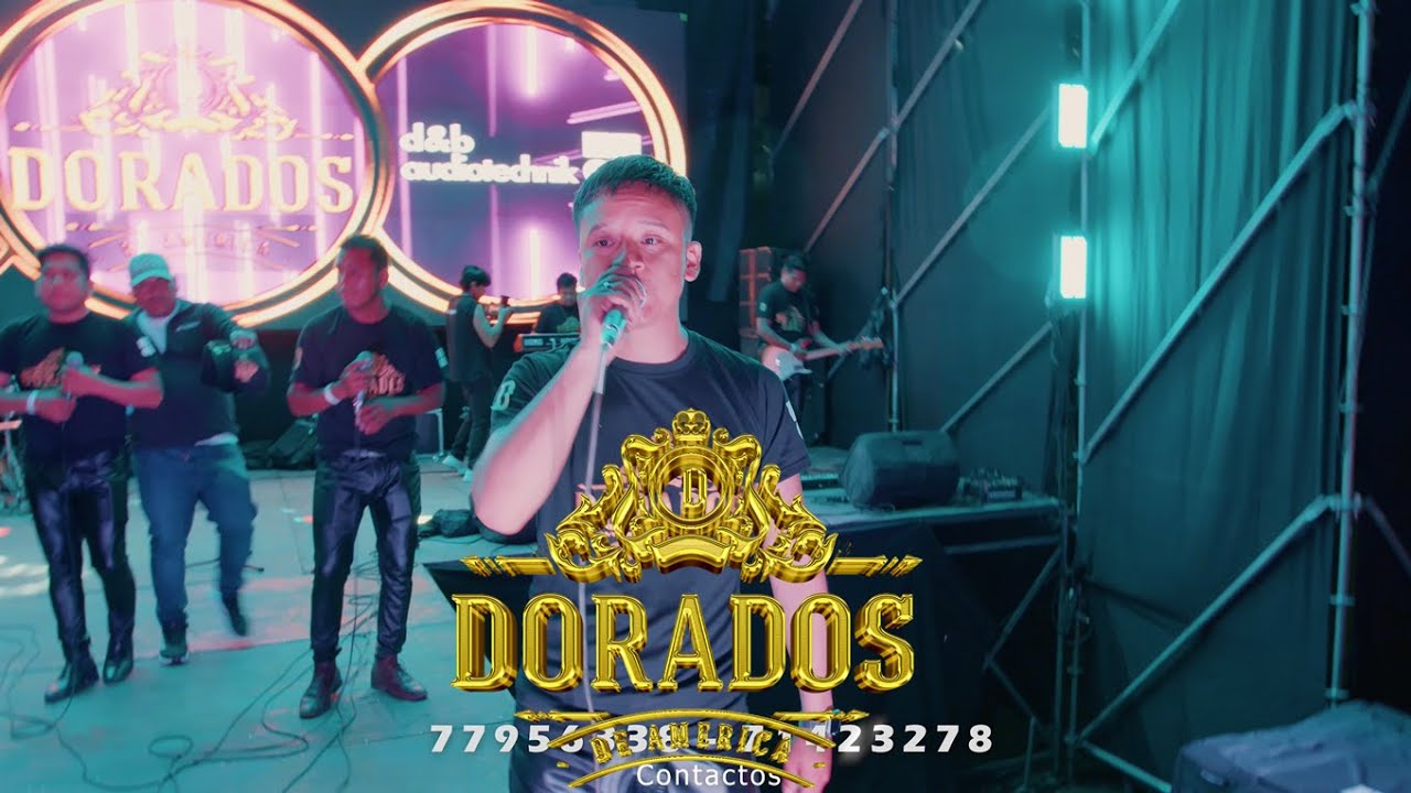 DORADOS DE AMERICA  
