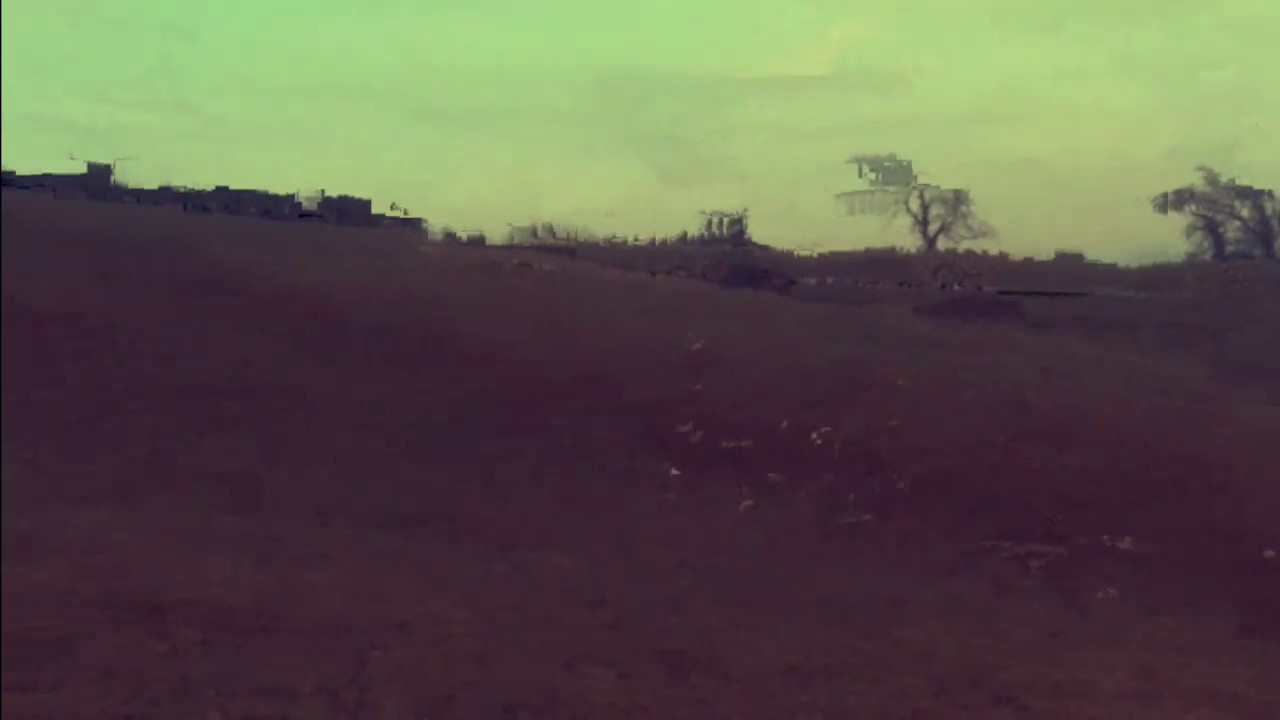 Fox hunting with hounds
