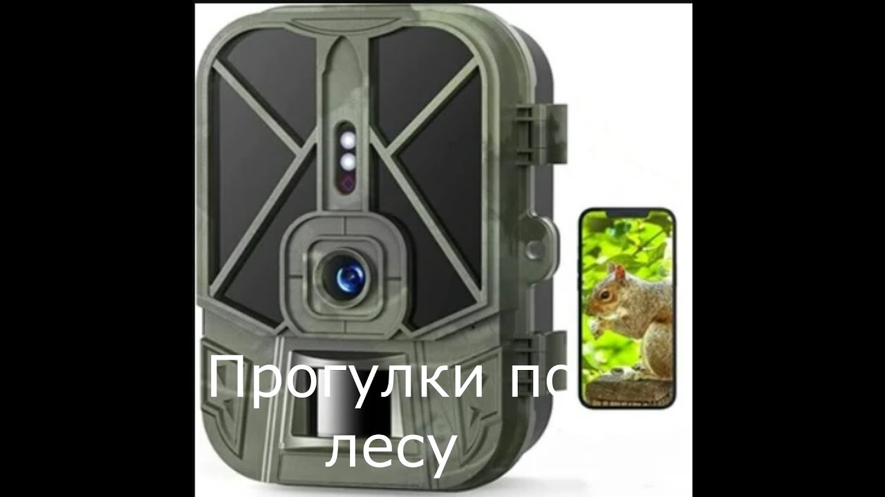 Фотоловушка WiFi940Pro Li - 20 03 2024 года