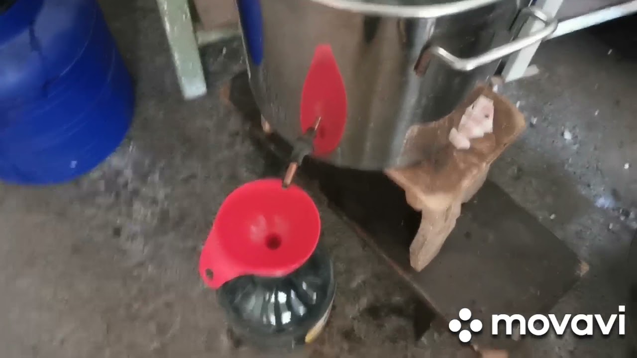 Bodza pálinka készítés