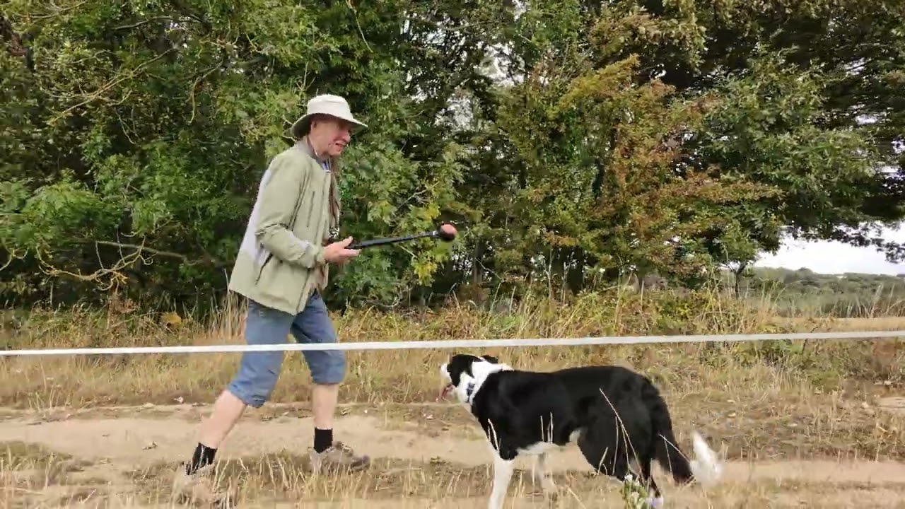 Harewood 21 August 2025