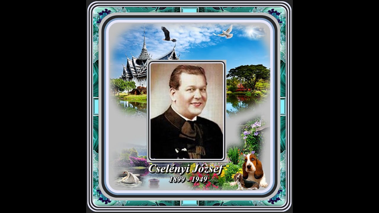 Csel&eacute;nyi J&oacute;zsef : Visszaadok mindent n&eacute;ked