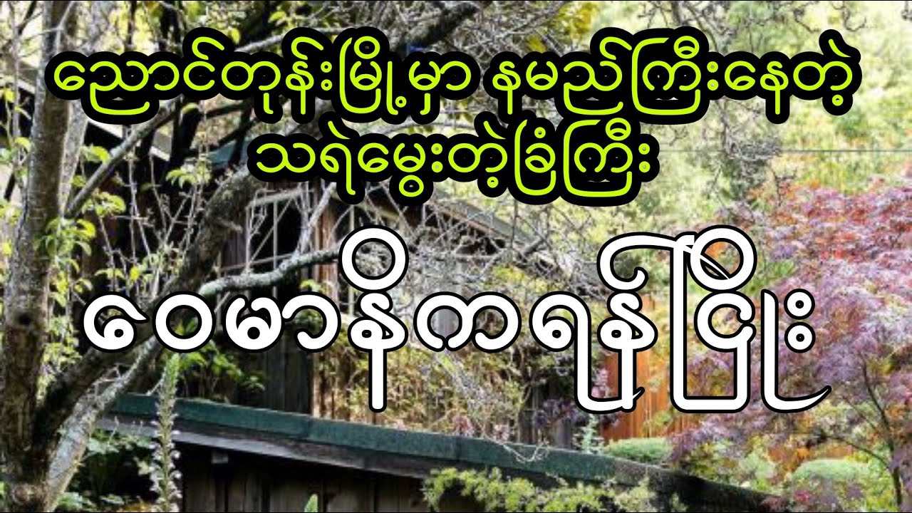 ဝေမာနိကရန်ငြိုး
