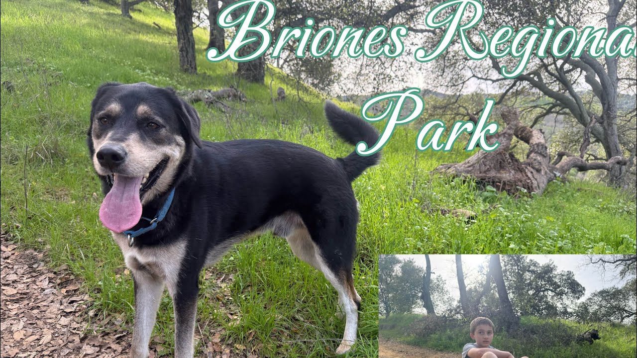 Hiking at Briones state park
