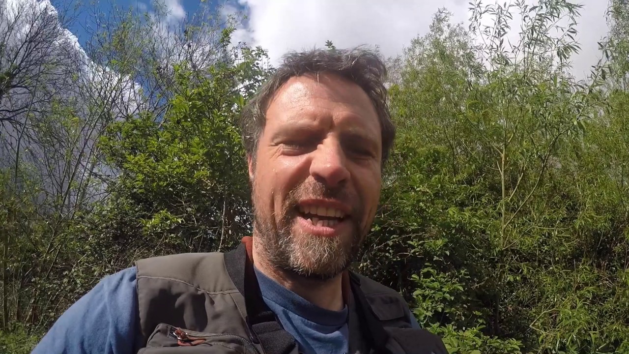 River Avon Trout and Grayling | ADVENTURE FISHING