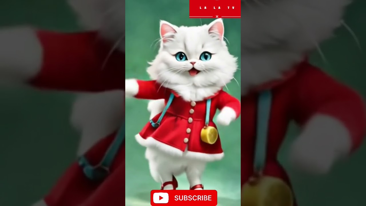 #La La chutti TV #cat dance , cat#cute cute cat #mycat #lovelycat #meowmoe #catsdontdance