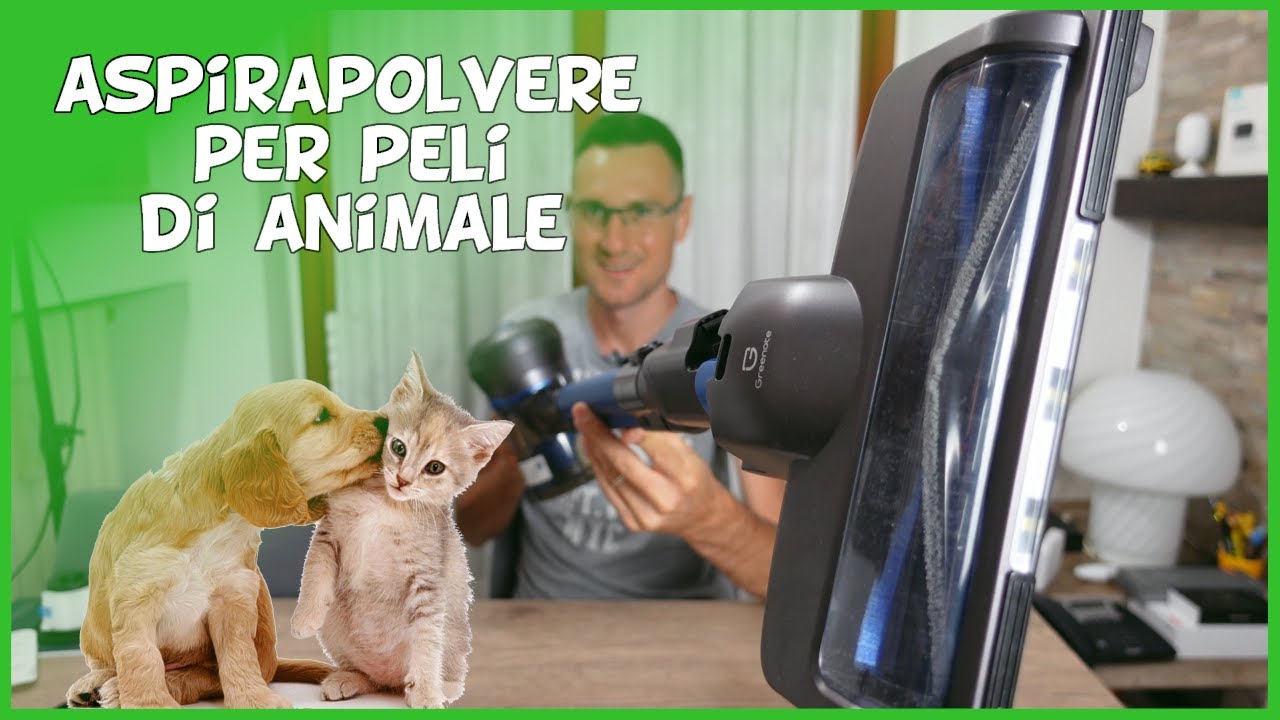 Aspirapolvere Amazon Greenote GSC50 per peli di animali cane gatto senza fili senza sacco ciclonico