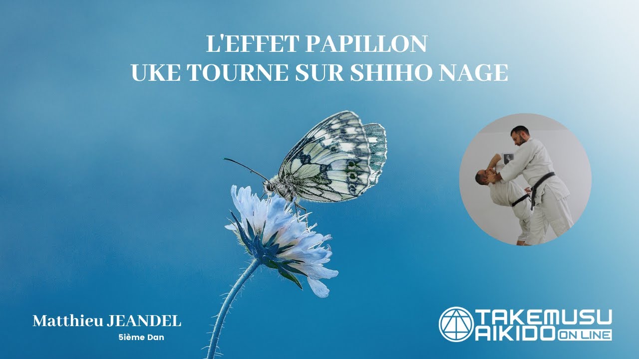 SHIHO NAGE - Partie 2 - Matthieu Jeandel - 5ième dan