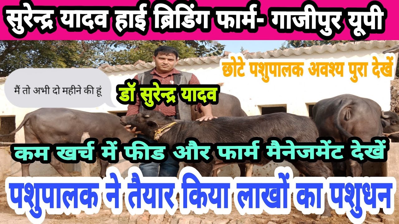 4 सालमें कैसे यूपीके युवाने तैयार किया लाखों केपशुधन || dairy farm ghazipur uttar pradesh ||